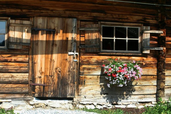 What's the Most Sustainable Material for Building a DIY Garden Shed?